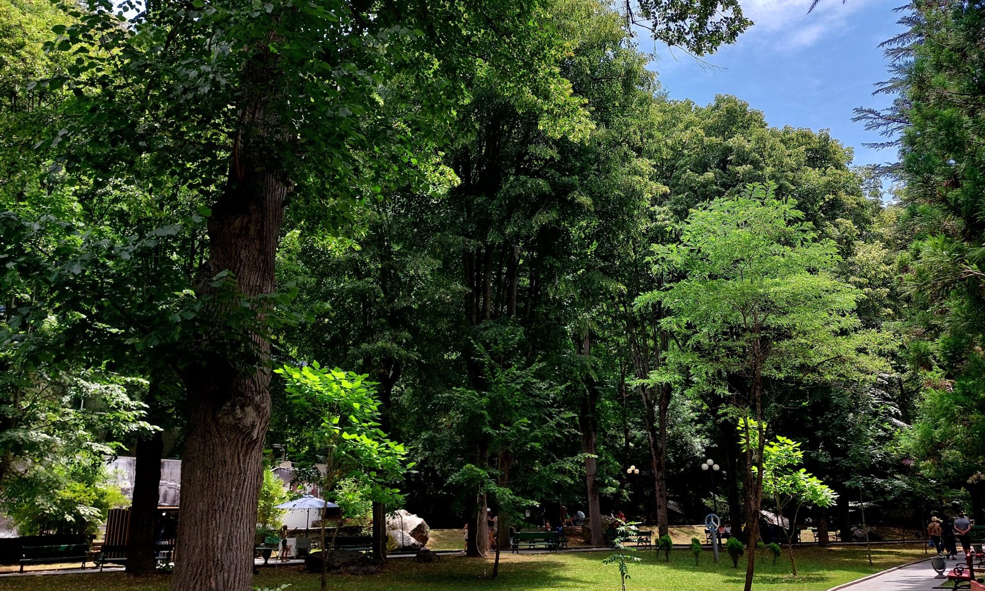 Wandelpad in het centrale park van Borjomi